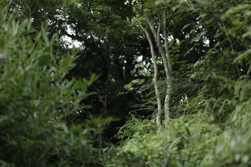 Sustainability Initiative